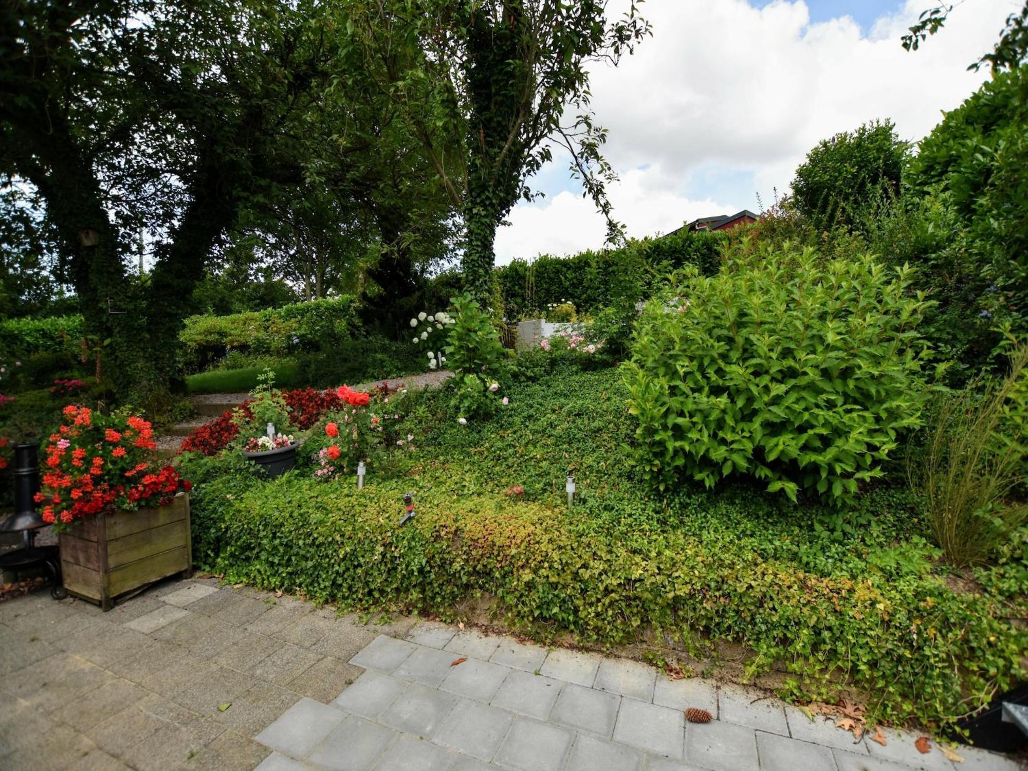 Luxury House In South Limburg Near Forest Walem المظهر الخارجي الصورة
